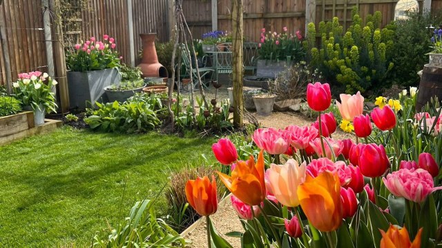 I transformed my boring new build garden into a countryside oasis for £4k