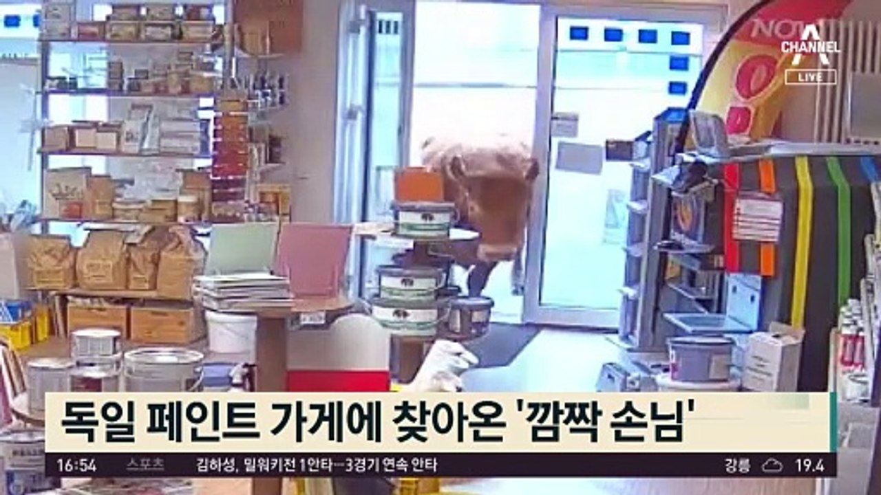 가게 찾아온 ‘황당 손님’ 깜짝