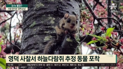 사찰 찾아온 ‘깜짝 손님’의 정체