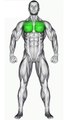 Chest muscle activation #shorts #chestworkout #bodybuilding