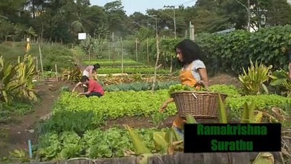 From Struggle to Sustainability_ A Journey  Self-Sustainable City, India  Ramakrishna Surathu, Founder & Developer