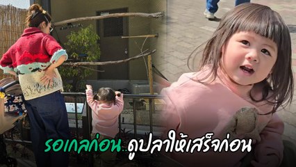 ชมพู่ อารยา ยกครอบครัวเที่ยวญี่ปุ่น เอ็นดู น้องเกล พูดเก่งเสียงดังสุด