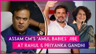 Assam CM Himanta Biswa Sarma Calls Rahul Gandhi & His Sister Priyanka Gandhi 'Amul Babies'