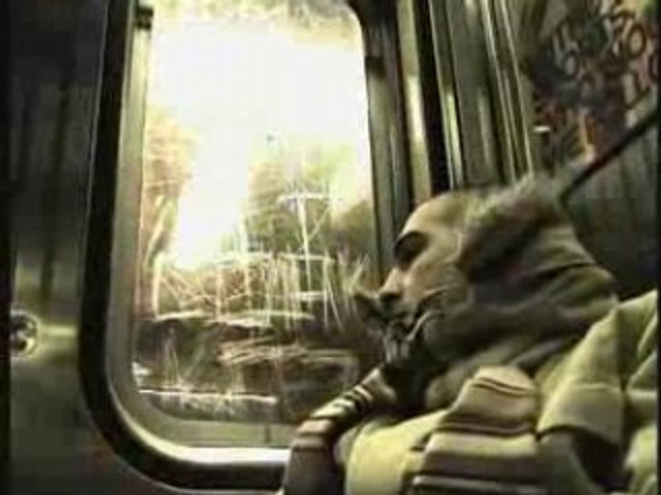 dont panik tape medine exclusif trailer de la tape