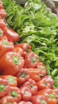 ECTLS - Pourquoi n'y a-t-il pas d'aliments bleus ?