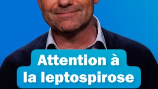 Attention à la leptospirose : Les conseils du Dr Kierzek