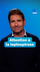 Attention à la leptospirose : Les conseils du Dr Kierzek