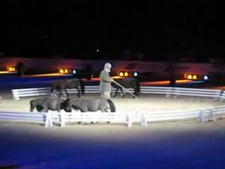 MINIATURES AMERICAINS EN LIBERTE