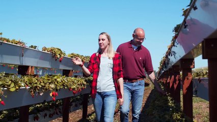 Defying the Digital Tide A Human-Centric Revolution Against Artificial Intelligence