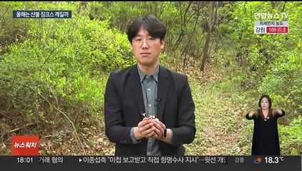 강원도, 비 왔지만 산불 위험 여전…앞으로 2주가 최대 고비