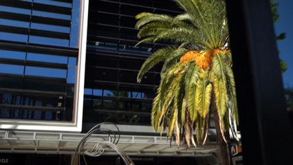 Family mourning death of 10-year-old Indigenous boy