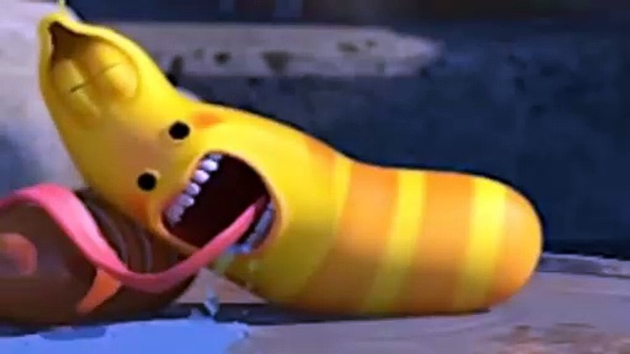 Larva - body experience
