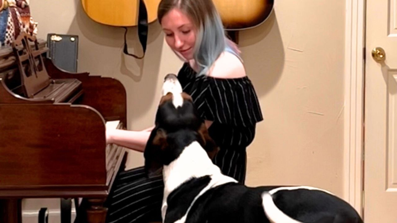 Musikbegeisterter Hund singt mit, wenn der Besitzer Klavier spielt