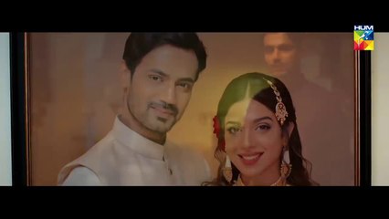 Mohabbat Tujhe Alvida _ Full OST _ HUM TV _ Drama