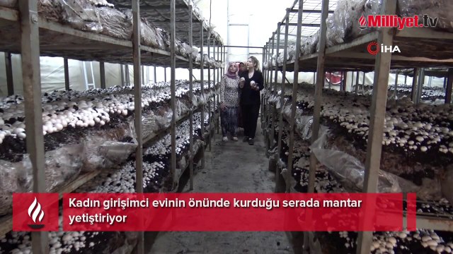 Devlet desteği ile işleri büyüttü, siparişlere yetişemiyor: Eşimin işleri iyi gitmeyince bu işi düşündüm