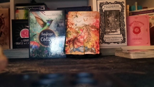 La Sagesse du colibri - À la découverte des neuf mondes (tarot, oracle, présentation)