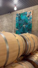 Sala de barricas en Belondrade