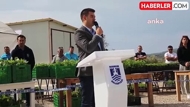 Bodrum Belediyesi Atalık Yerli Tohum Fidelerini Üreticilere Hibe Etti