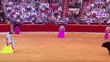 roca rey zaragoza