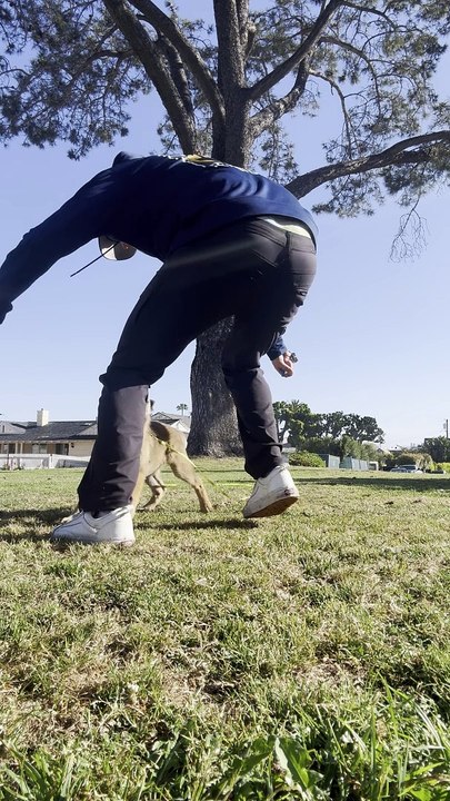 Play and Engagement Outdoors