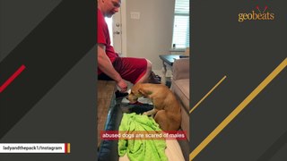 Rescue dog is obsessed with dad