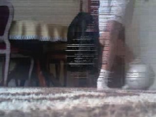 Gestes Techniques Jeune Prodige "BORGAN"