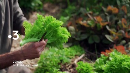 La France en vrai - 18 avril