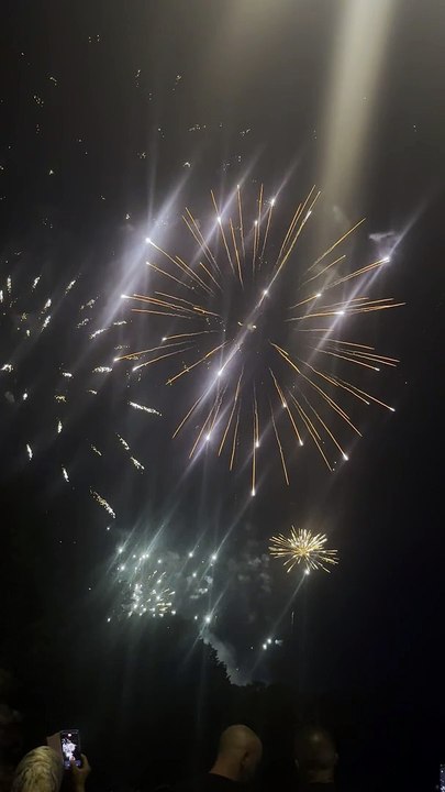 Le Feu d’artifice du 14 juillet Grenoble  Parc Jean-Verlhac Villeneuve #france #grenoble #show (5)