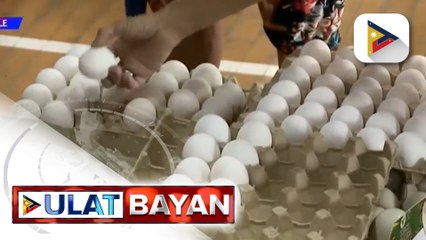 El Niño, nakaaapekto sa laki ng itlog na inilalabas ng mga inahin ayon sa PEBA