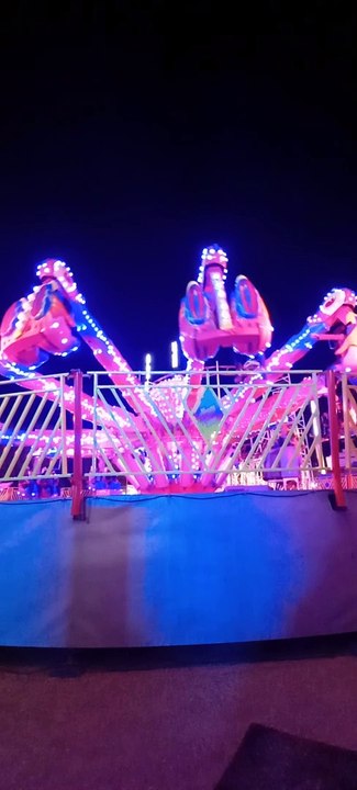 Foire des Rameaux Grenoble 2023 - Superbe Animation #foire #france #grenoble #animation  (9)