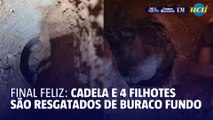 Cadela e 4 filhotes são resgatados de local com difícil acesso, em Minas