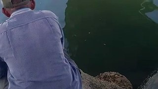 mancing ikan kakap pas air pasang