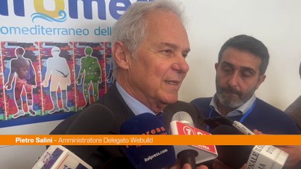 Ponte Stretto, Salini “Ogni mattina c'è un permesso da superare”