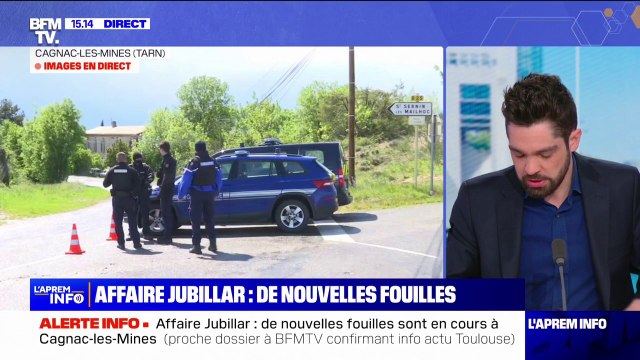 Affaire Delphine Jubillard: 8 chiens mobilisés pour les fouilles dans le Tarn