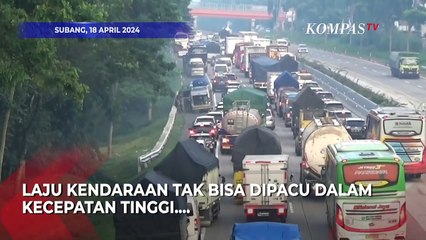 Video herunterladen: H 8  Arus Balik Masih Terjadi di Tol Cipali, Laju Kendaraan Terhambat karena Ini