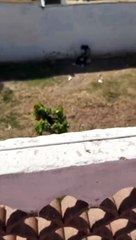 Toxicómanos en las Casitas Rosas