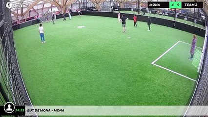 But de Mona - MONA: Découvrez l'œuvre