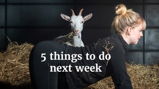 5 things to do next week (22-28 April 2024)