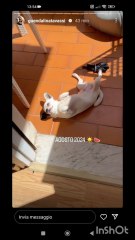 il mio negozio preferito