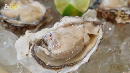 Why Raw Oysters Still Might Not Be The Best Thing To Eat This Summer