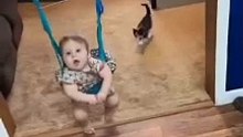 Baby and cats