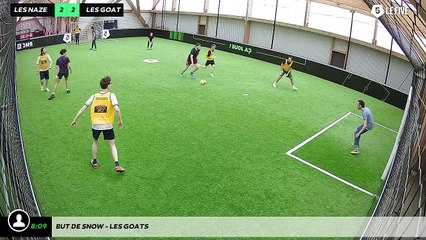 But de snow - les goats