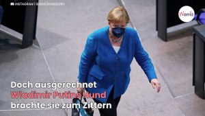 Angela Merkel leidet schon seit einiger Zeit an Kynophobie