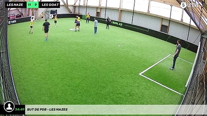 But de pdb - les nazes