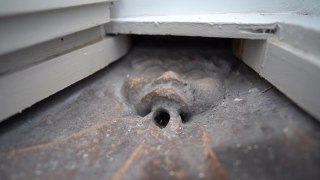 Creepy medieval gargoyle imp found behind toilet