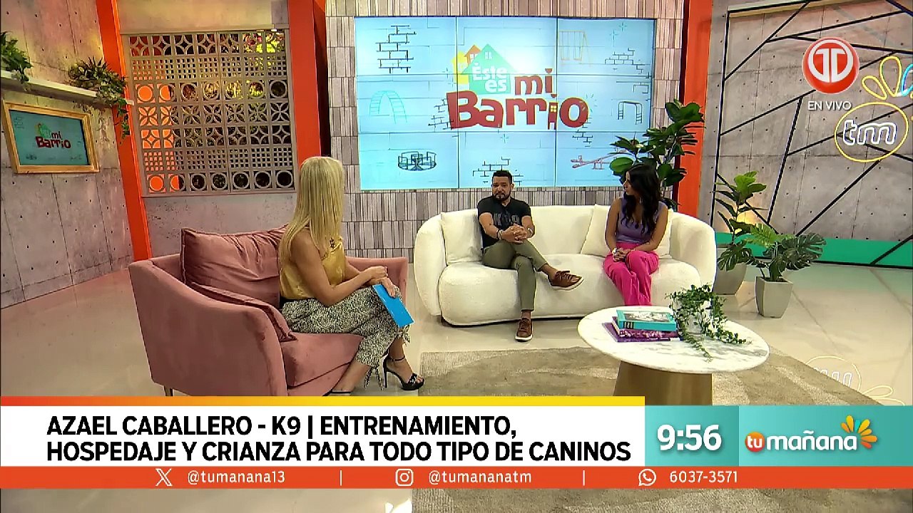 seguridad canina.mp4