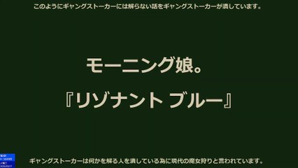 【謎】チワワとレイワ