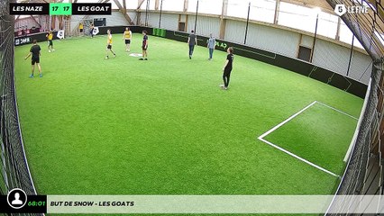 But de snow - les goats