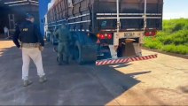 BPFron de Umuarama e PRF apreendem 2,5 toneladas de maconha na Boiadeira