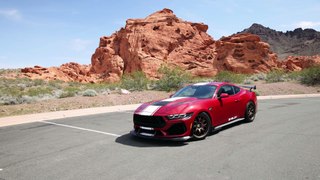 2024 Shelby Super Snake Running Footage